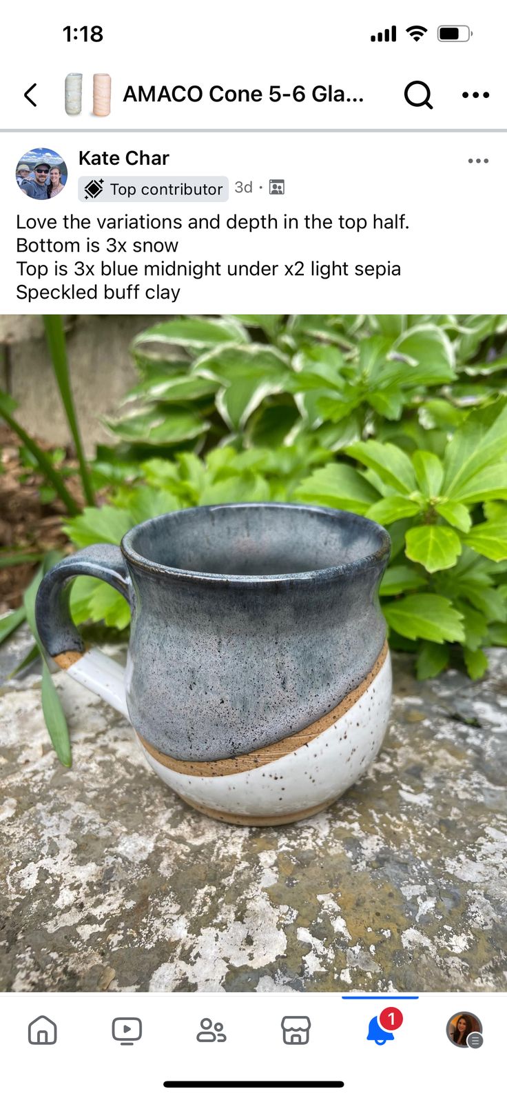 a cup sitting on top of a rock next to green plants and bushes, with the caption's tweet below it