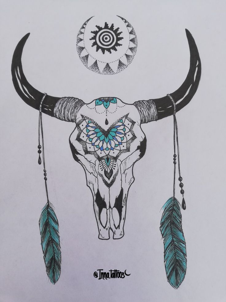 a drawing of a bull's skull with feathers on it