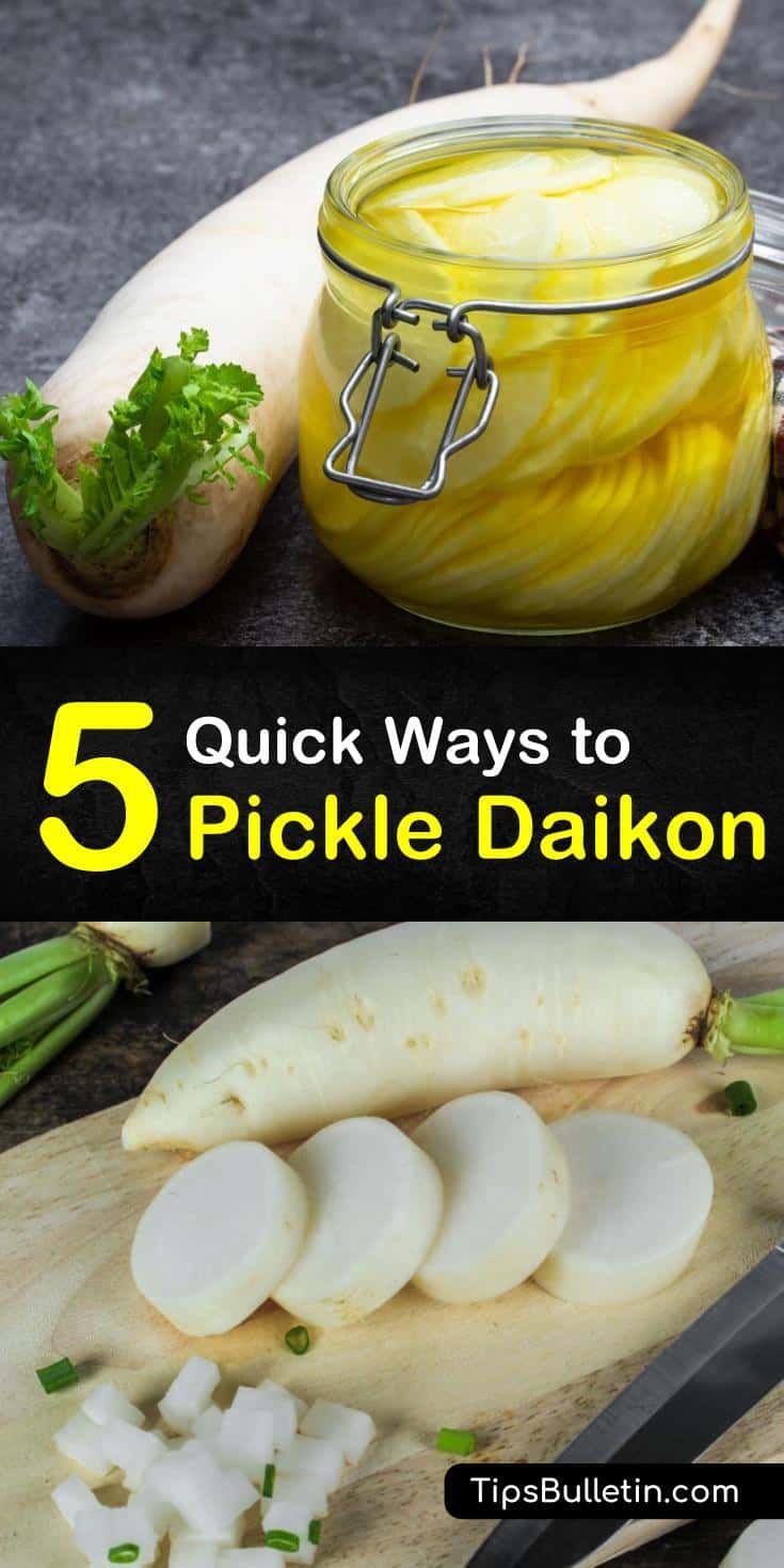 pickle daikon is one of the most popular pickles in the world it's so delicious and easy to make