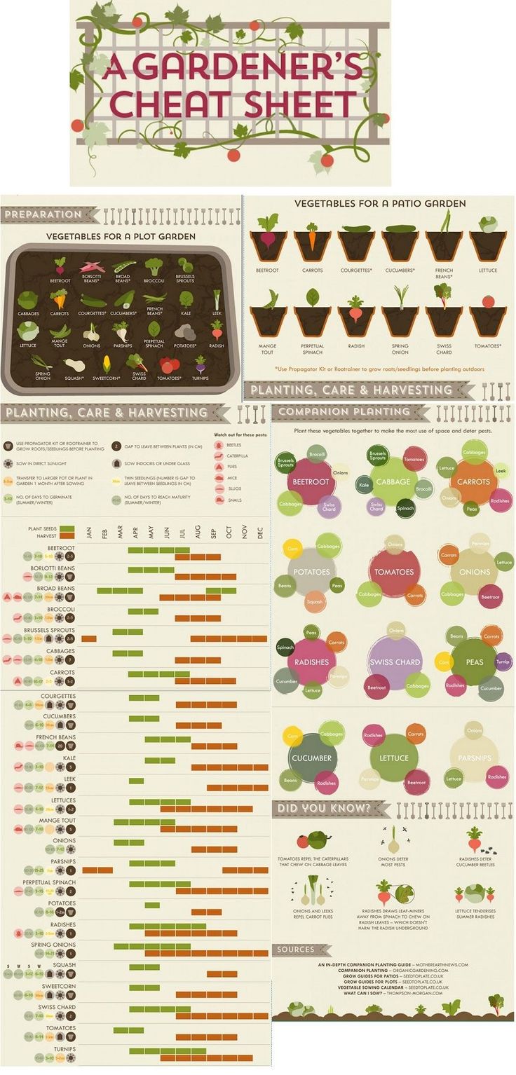 the garden's heat sheet is shown in this graphic