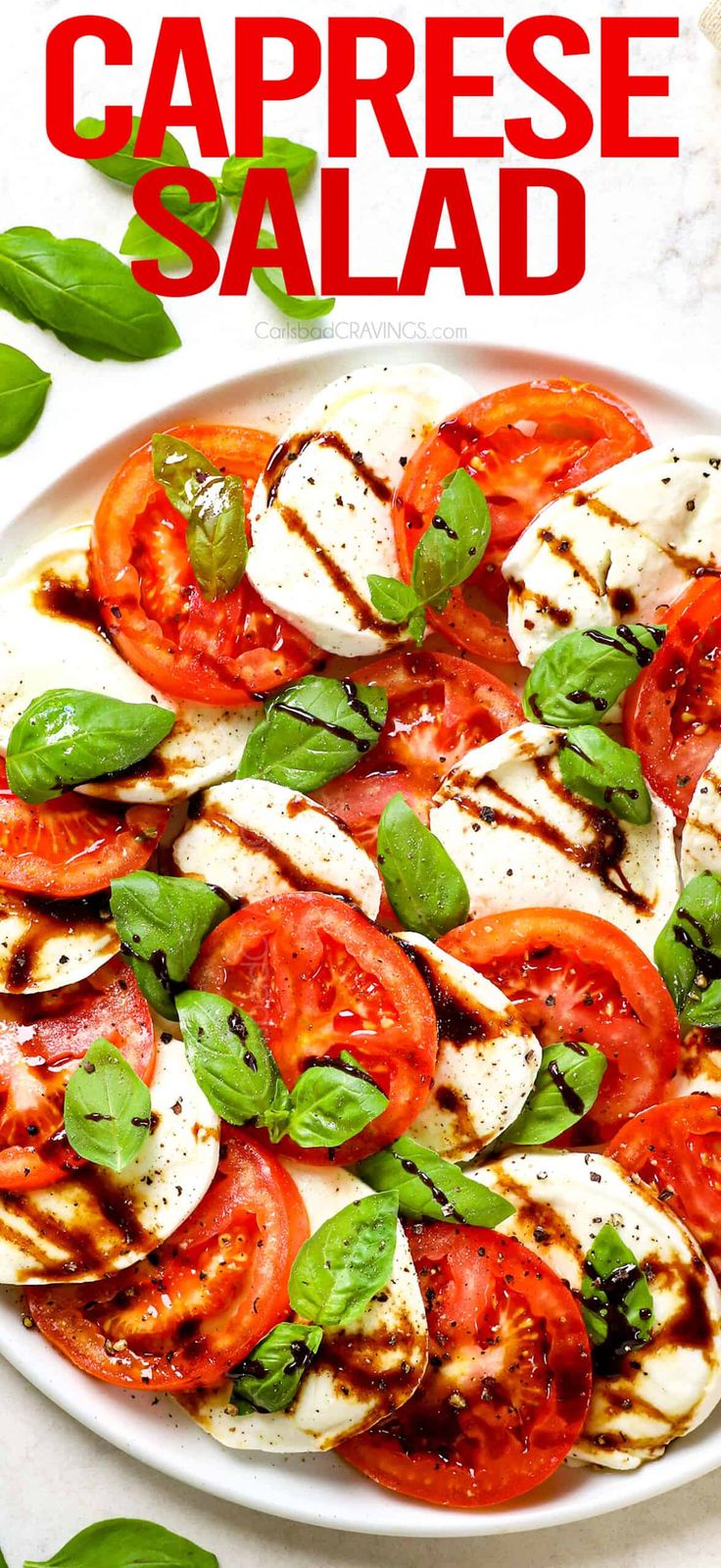 a white plate topped with sliced tomatoes and mozzarella on top of green leaves