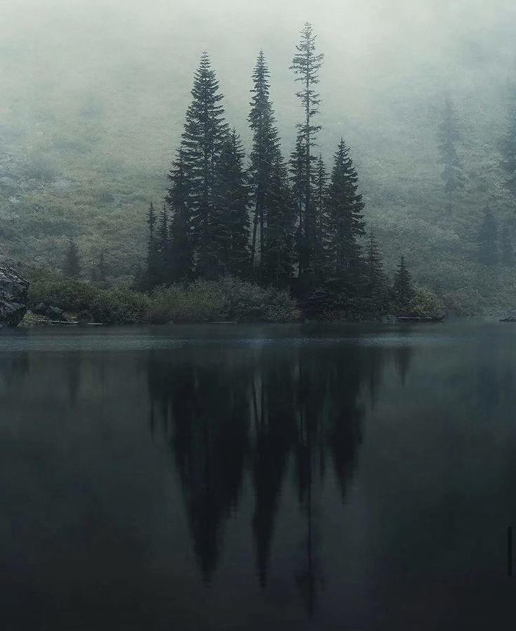 a lake surrounded by trees in the fog