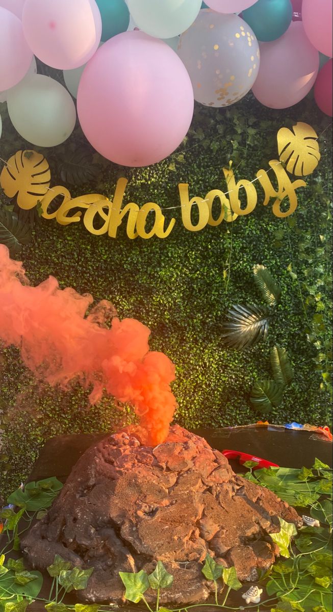 an outdoor birthday party with balloons, rocks and streamers in the background that say goodbye