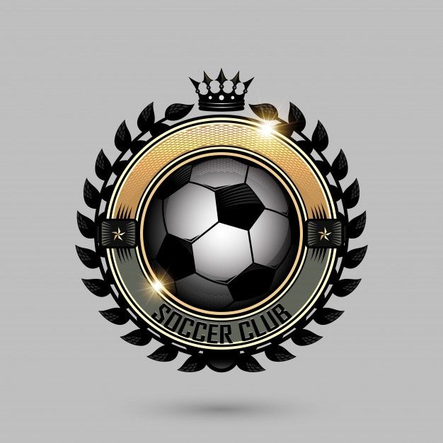 a soccer emblem with a ball in the center and laurels around it stock photo