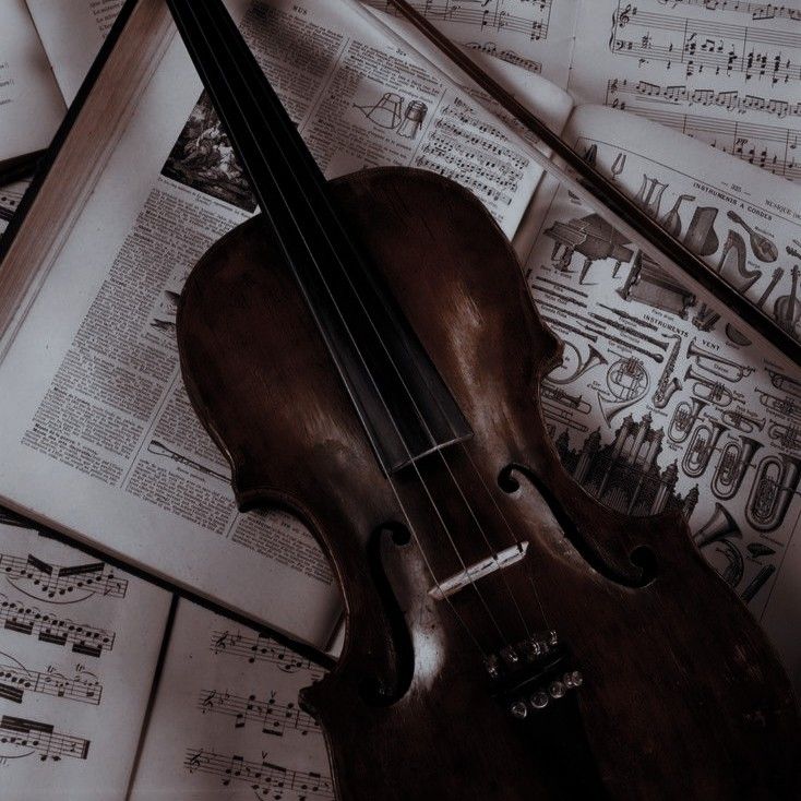 a violin sitting on top of music sheets