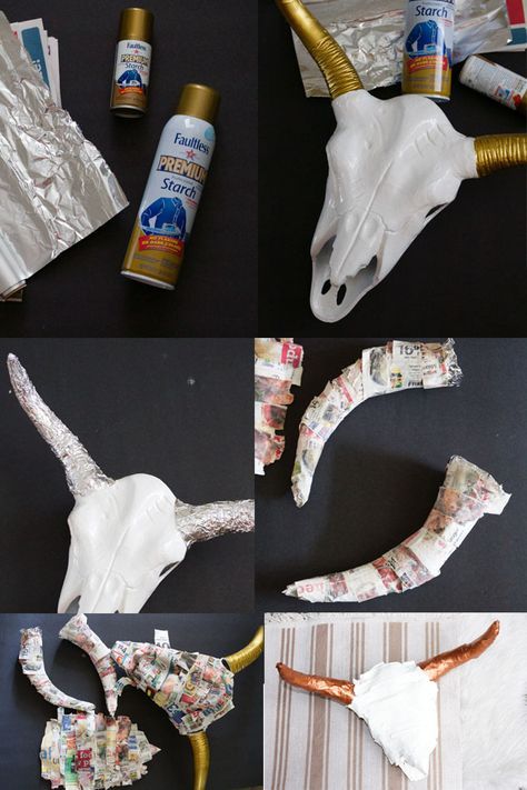 several pictures of different types of animal skulls and their contents wrapped in tin foil, including one bull's head