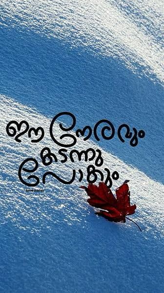 a red leaf laying in the snow with some words written on it's side