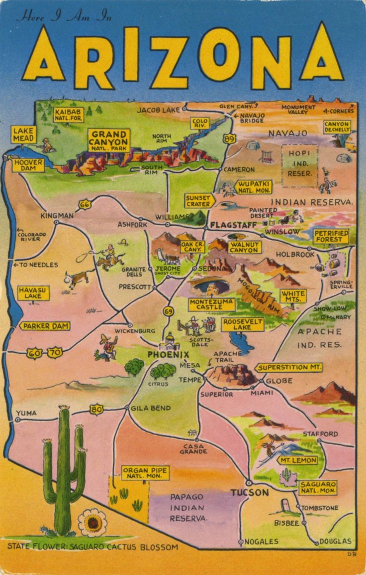 an arizona state map with cactuses and mountains in the background, as well as other states