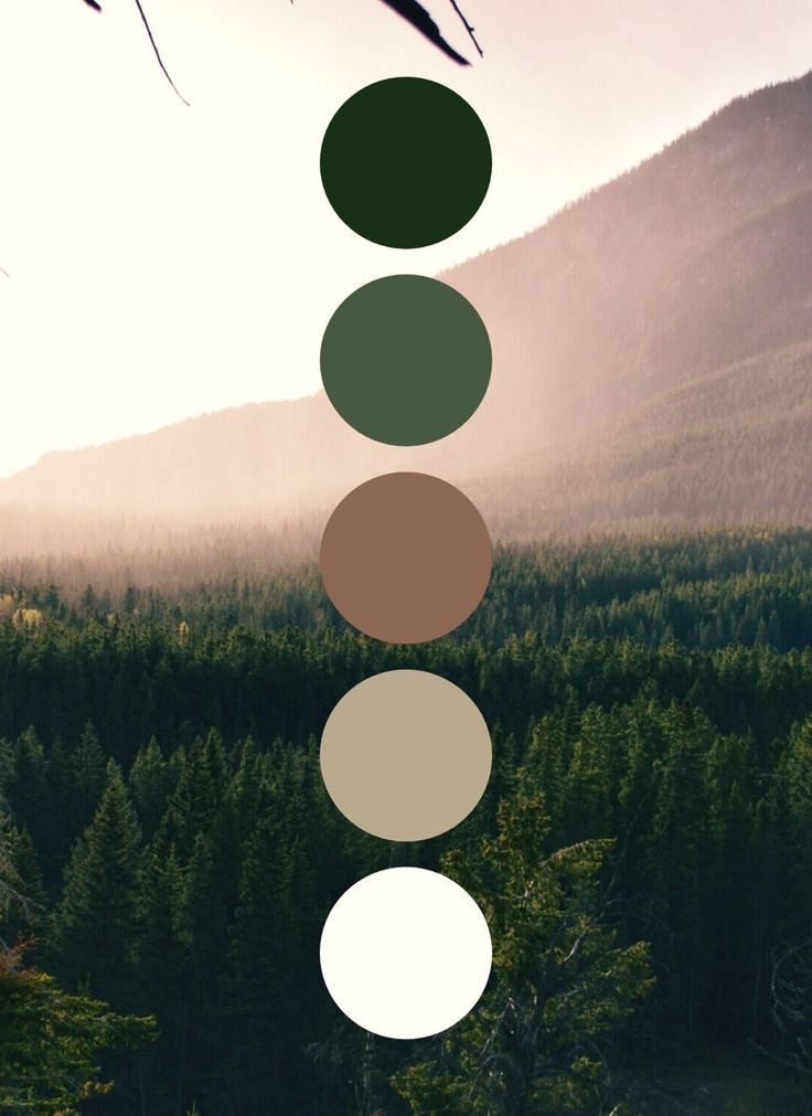 four circles are arranged in the shape of five different colors on a tree line with mountains in the background