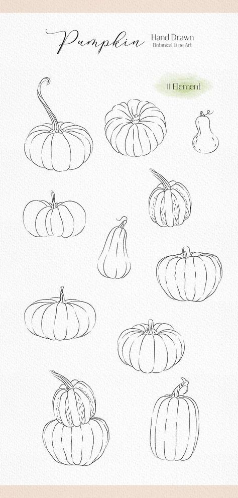 an image of pumpkins drawn by hand