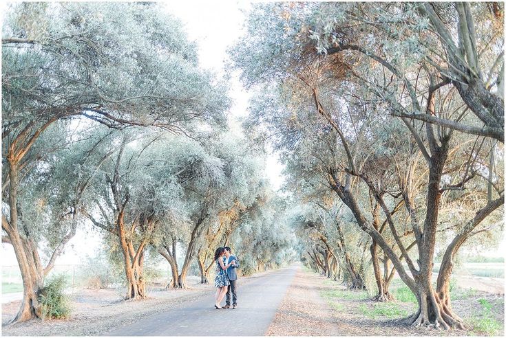 a person riding a bike down a tree lined road