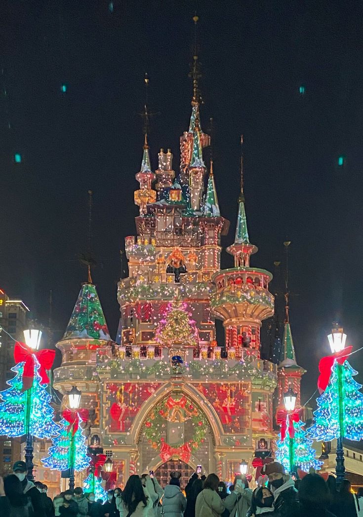 people are standing in front of a lit up castle at christmas time with trees and lights all around