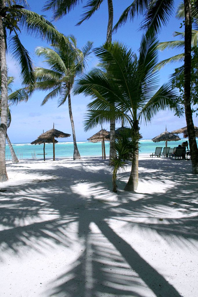 palm trees and umbrellas line the beach