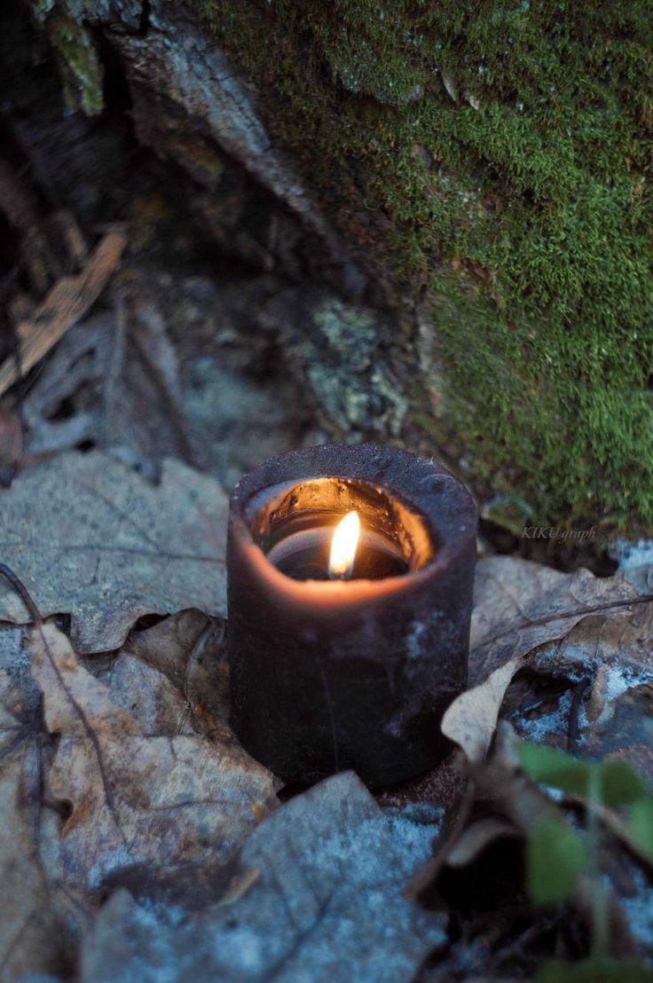 a lit candle sitting on the ground next to some rocks and mossy trees in the background