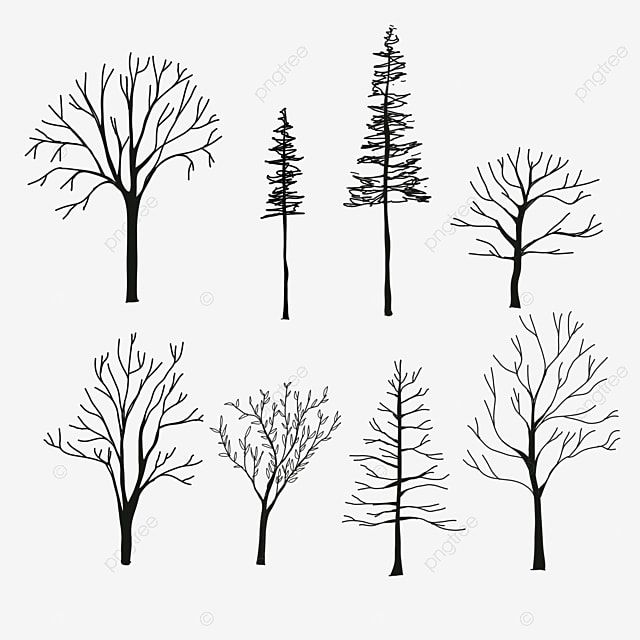 four different types of trees with no leaves on them, black and white, silhouette, tree png and psd