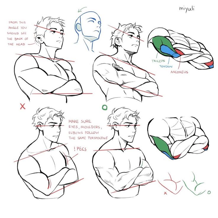 how to draw an arm and chest in 3 easy steps for beginners, step by step