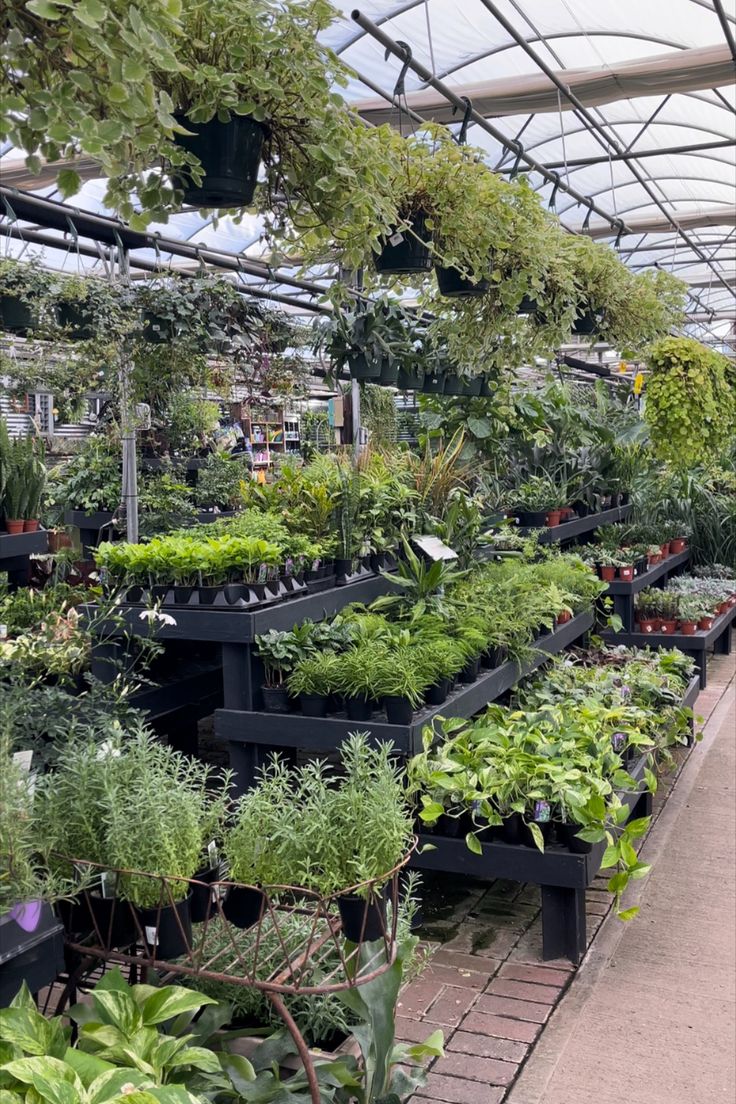 an indoor greenhouse filled with lots of plants