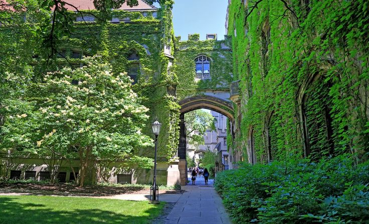 people walking down the sidewalk in front of an arch covered with green vines and ivy