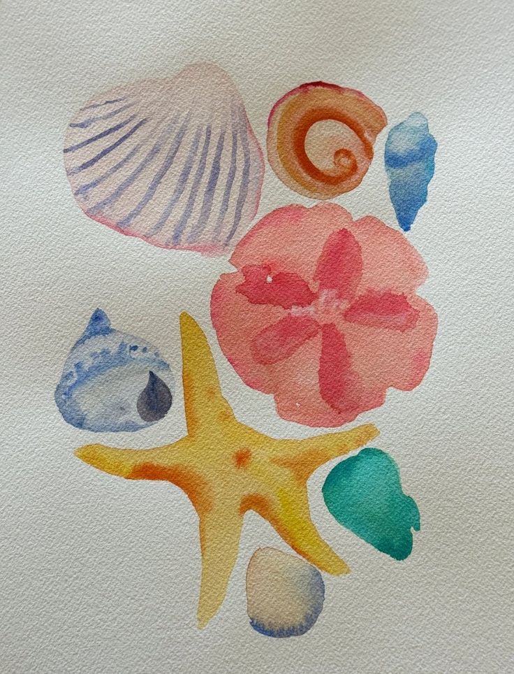 Sea Collection Coral Sand Dollar | 12” h x 9” w - Liza Pruitt Pretty Small Paintings, Art Prints Watercolor, Groovy Watercolor Art, Color Ways Inspiration, Costal Granddaughter Paintings, Cute Things To Paint With Watercolor, Sand Dollar Watercolor, Fun Things To Watercolor, Aura Watercolor Painting