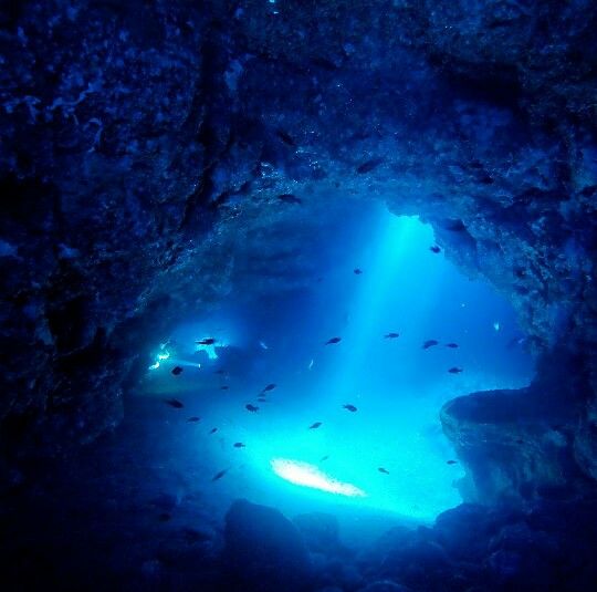 a cave filled with lots of blue water and fish swimming in it's mouth