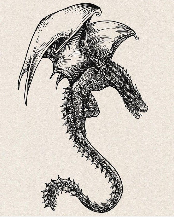 a black and white drawing of a dragon's head with its wings spread out