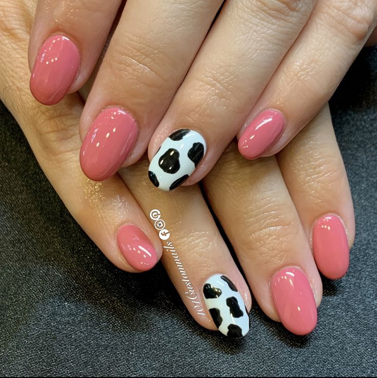 Cute Fall Cow Print Nails, Fall Nails With Cow Print, Ombre Cow Print Nails, Short Almond Cow Print Nails, Cow Print Accent Nails, Cowprint Nail Design Almond, Cow Print Valentine Nails, Short Cow Nails, Pink Cowprint Nails