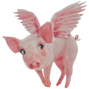 a pig with wings on its back and eyes wide open, standing in front of a white background