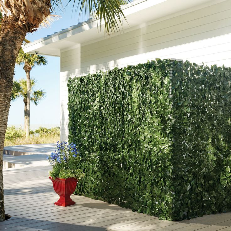 a tall green hedge next to a red potted plant on a wooden deck near a palm tree