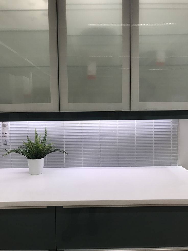 a plant in a white pot sitting on top of a counter next to some cupboards