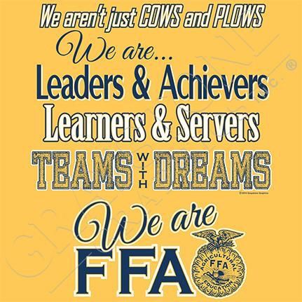 we are the leaders and achievers teams & servers teams and dreams we are fa