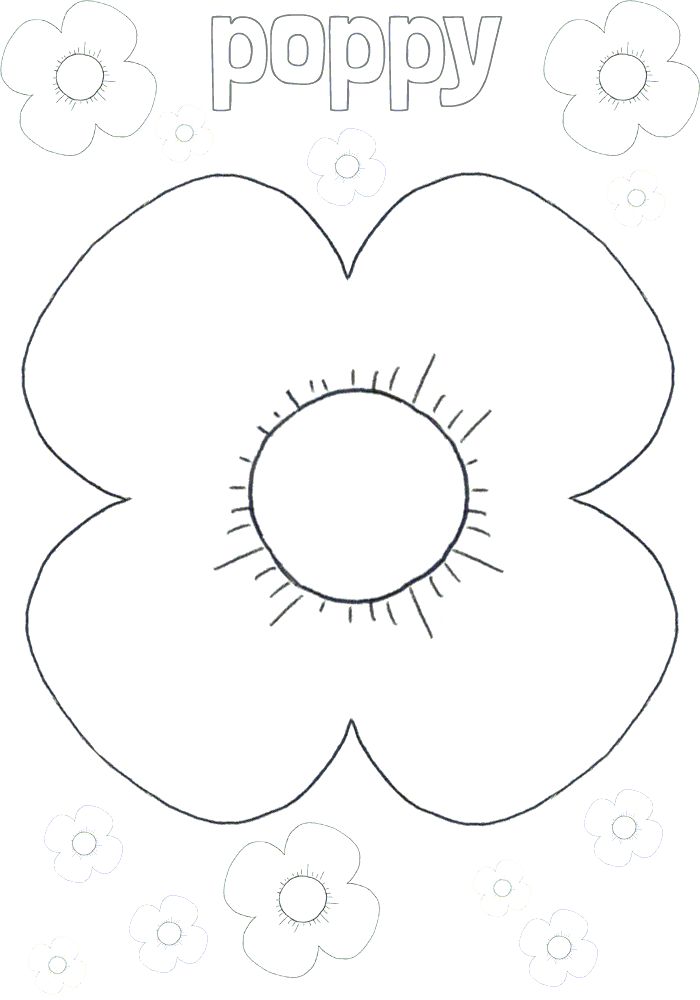 a flower with the word poppy on it and an image of flowers in the background