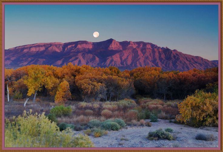 the moon is setting in the sky over mountains and trees with yellow leaves on them