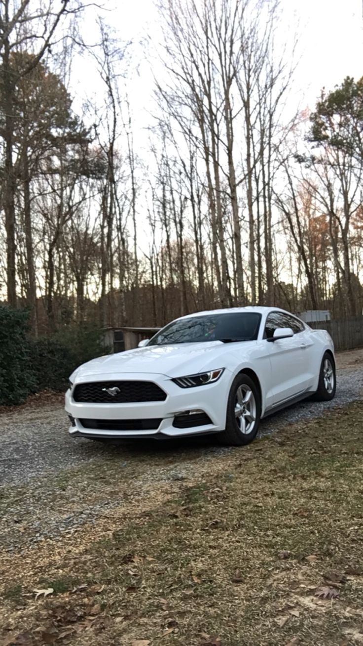 a white car parked on the side of a road next to some bushes and trees