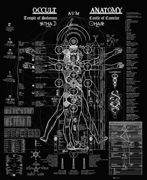 an illustration of the human body in black and white, with information about its functions