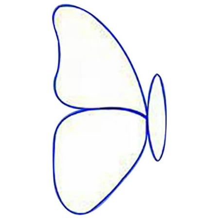 a drawing of a butterfly on a white background with blue lines in the shape of two wings