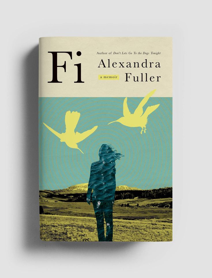 a book cover with a person standing in front of two birds flying over the ground