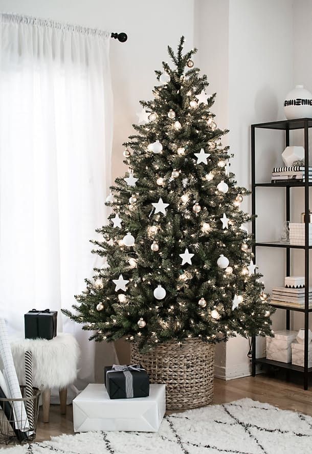 a small christmas tree in a room with white walls and wooden flooring, surrounded by black and white decorations