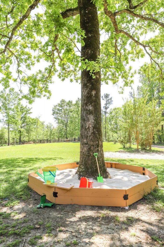 an empty sandbox under a tree in the park