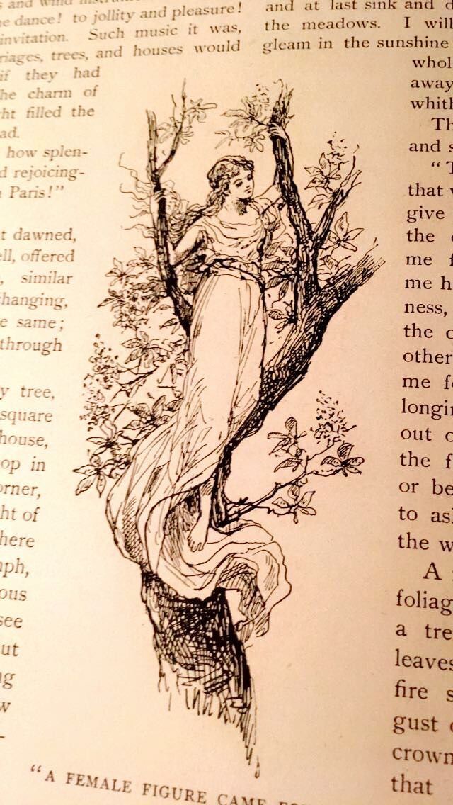 an open book with a drawing of a woman in the woods on top of it