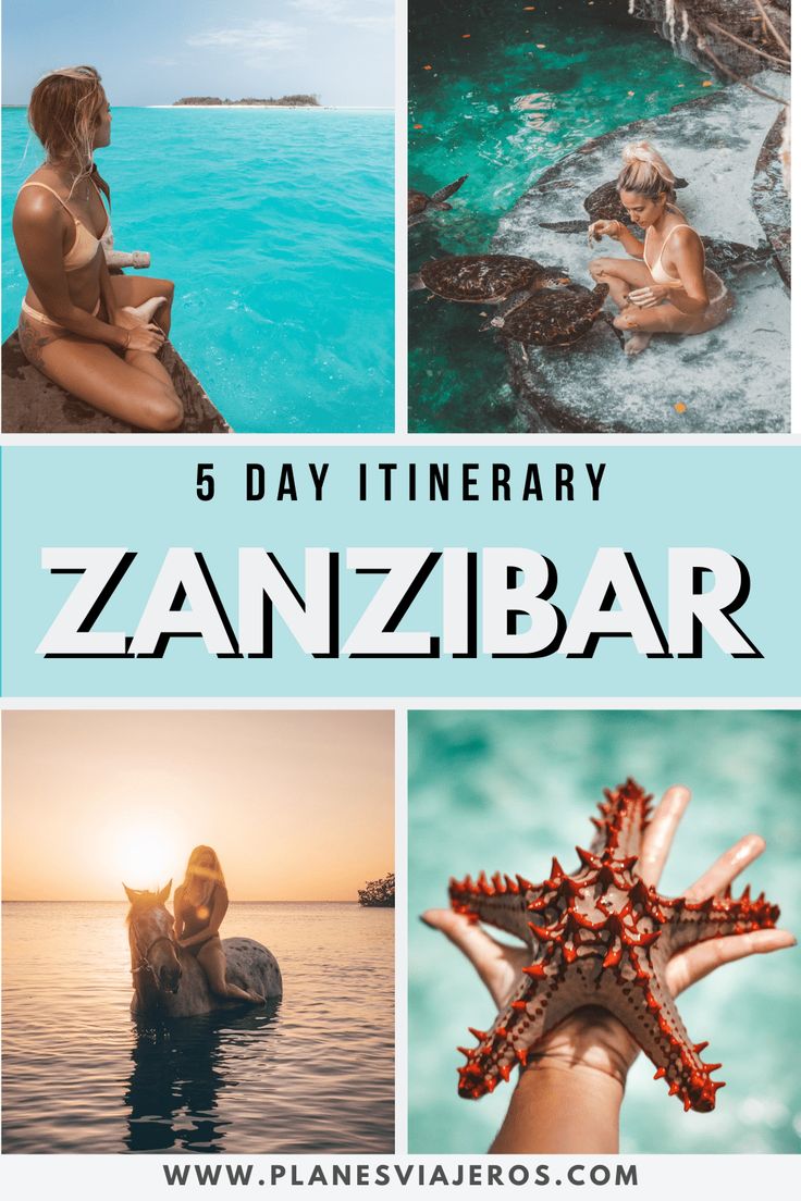 a woman sitting on top of a rock next to the ocean with text overlay reading 6 day itinerary zanza bar