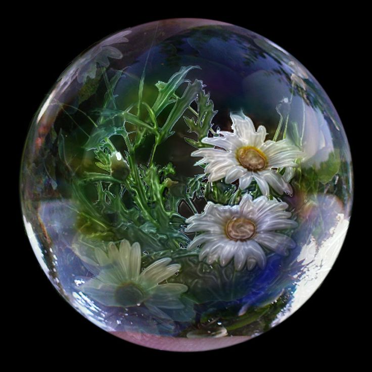 a glass ball filled with white flowers on top of a black background and green leaves