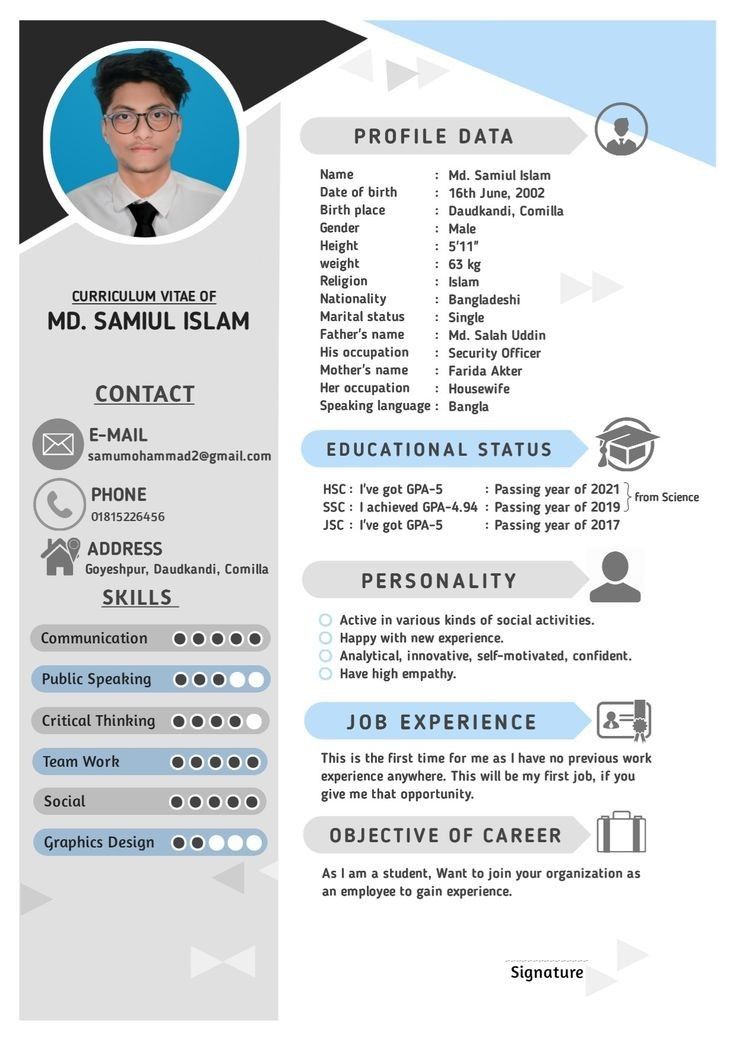 a professional resume with blue and black accents