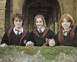 three harry potters are standing in front of a stone wall with moss growing on it