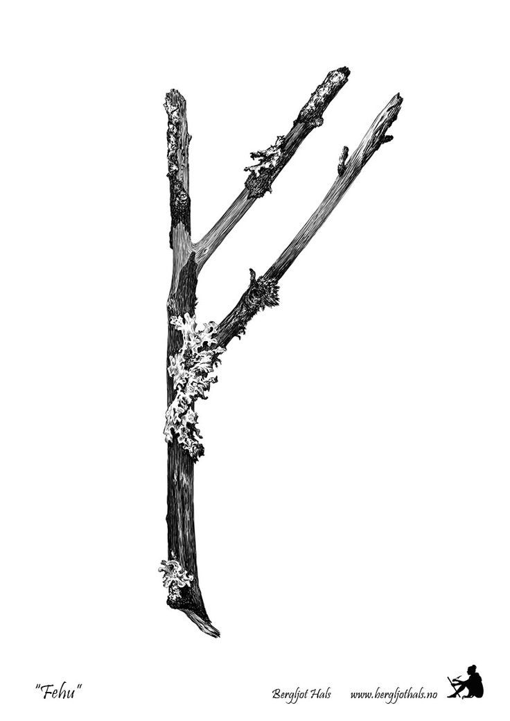 the letter k is made up of branches with flowers and leaves on each branch in black and white