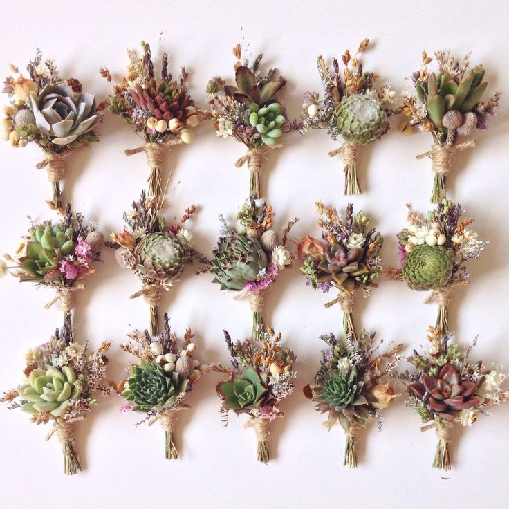 a bunch of succulents are arranged in rows on a white surface,