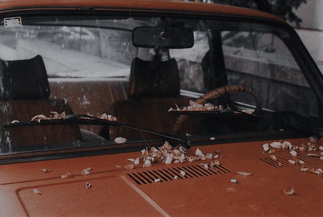 the interior of an old car is littered with birds on the floor and in the passenger seat