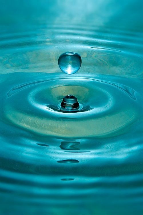 a drop of water is seen in this image