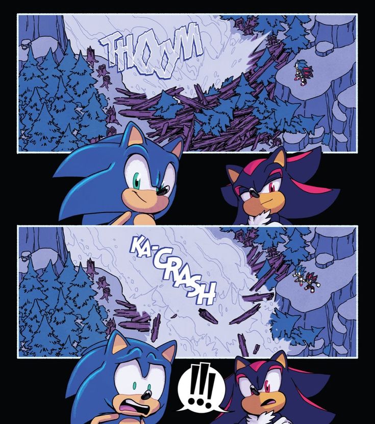 sonic and tails are in the same comic strip