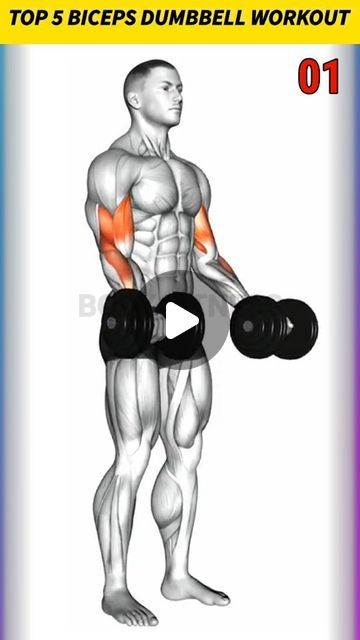 the top 5 biceps dumbbell workout