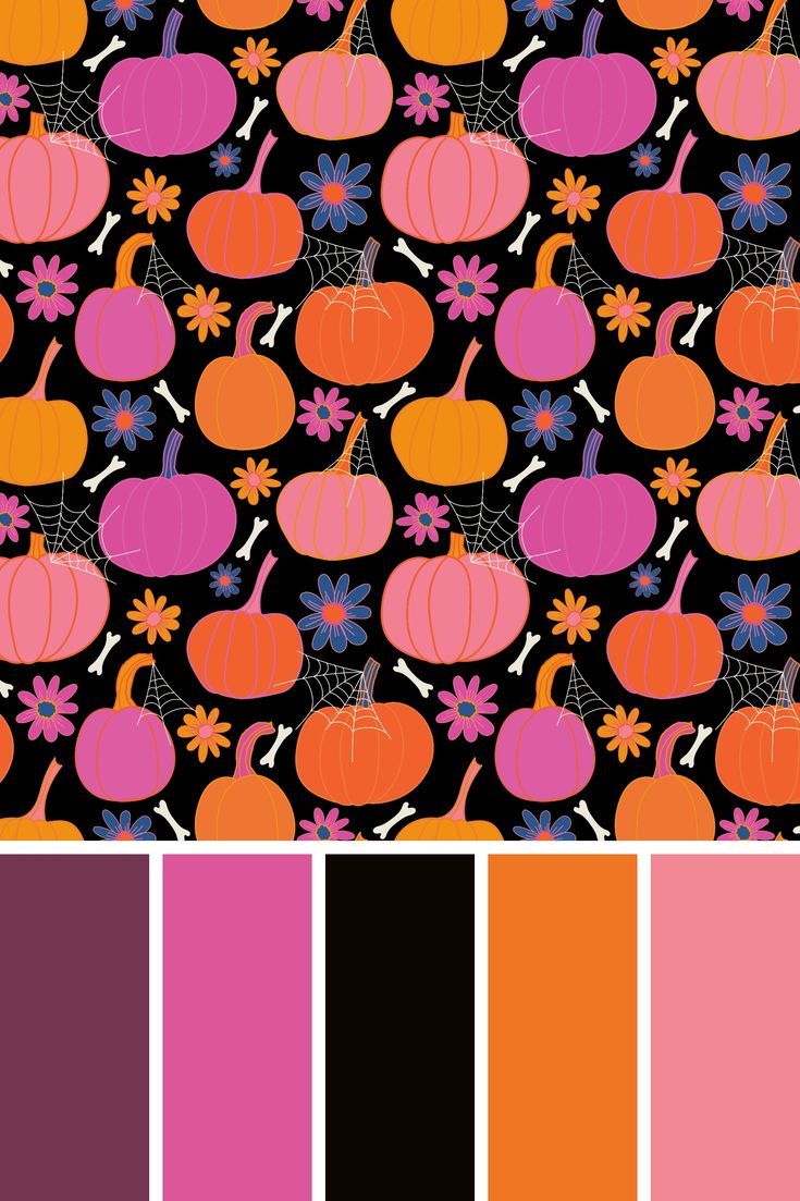 an assortment of pumpkins and flowers on a black background with pink, orange, and purple colors